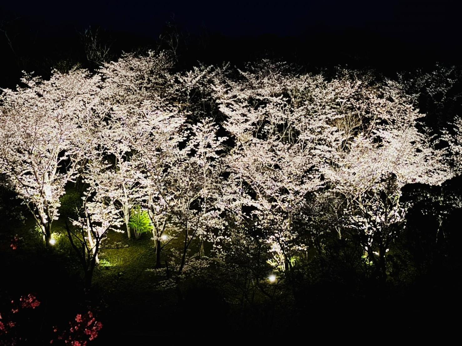 Villa 風乃家 Kaze No Ya Shirahama Exterior foto